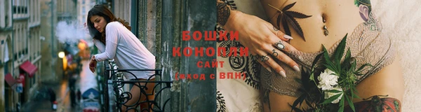 гидра Покров