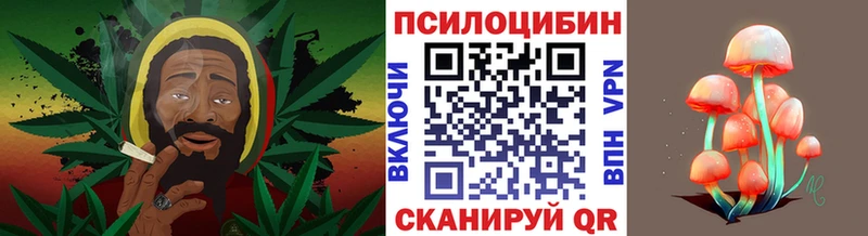 Купить закладки  Красноармейск  Галлюциногенные грибы Cubensis 